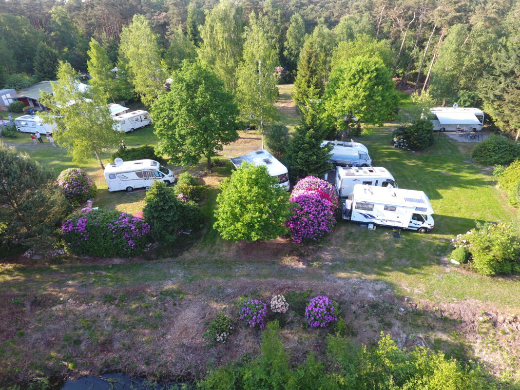 DCIM100MEDIADJI 0090.JPG