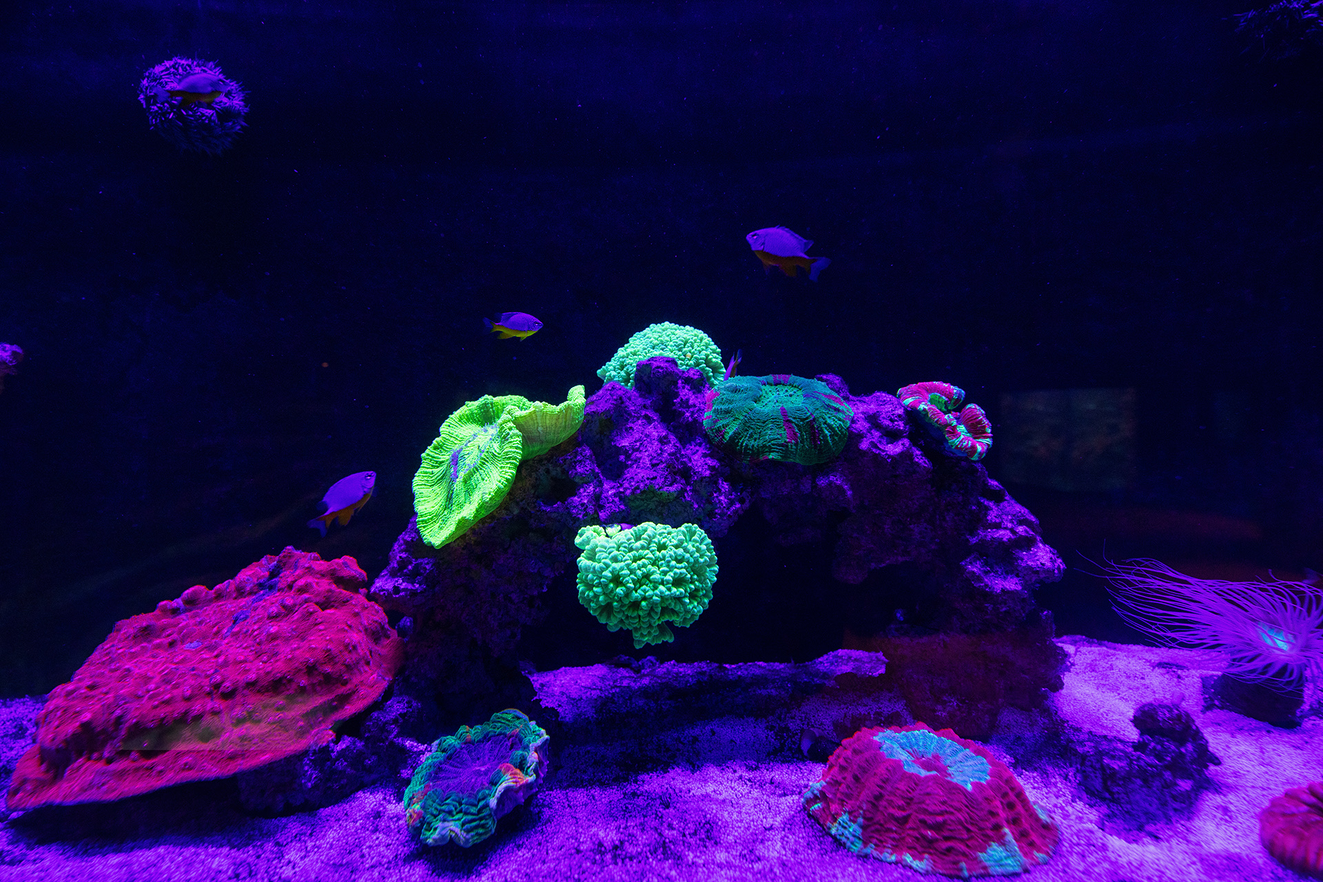 MEERESMUSEUM Stralsund