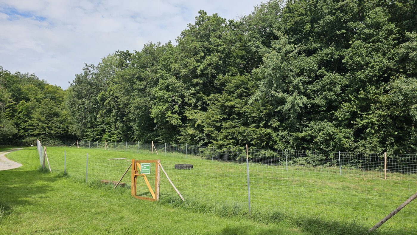 Mudau Hundeauslauf