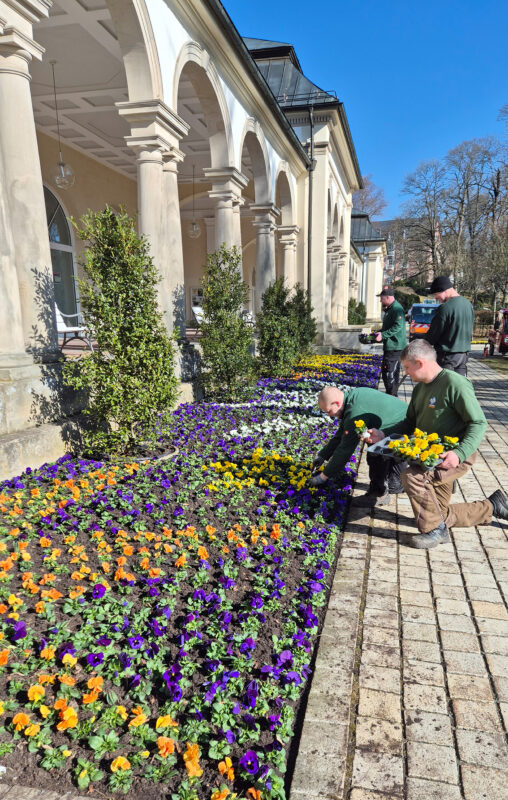 03 PM Frühjahrsbepflanzung 2026 1
