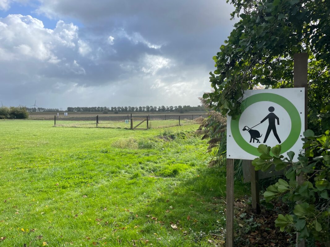 Abbenes Hunde Spielplatz