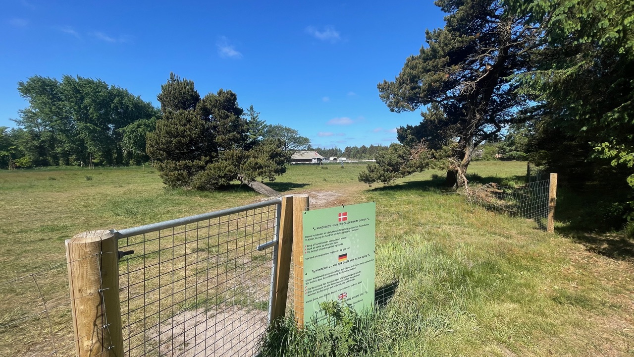 Römö Hundewald